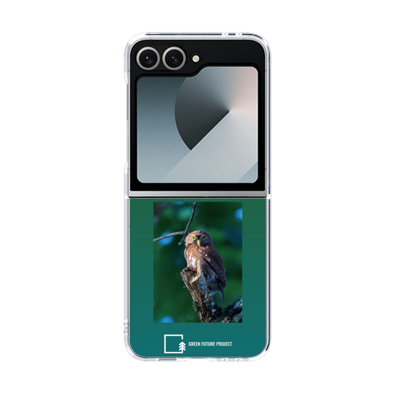 Clear Case［ Green Future Project - Ferruginous Pygmy Owl ］