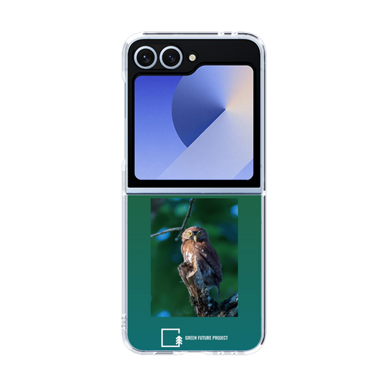 Clear Case［ Green Future Project - Ferruginous Pygmy Owl ］