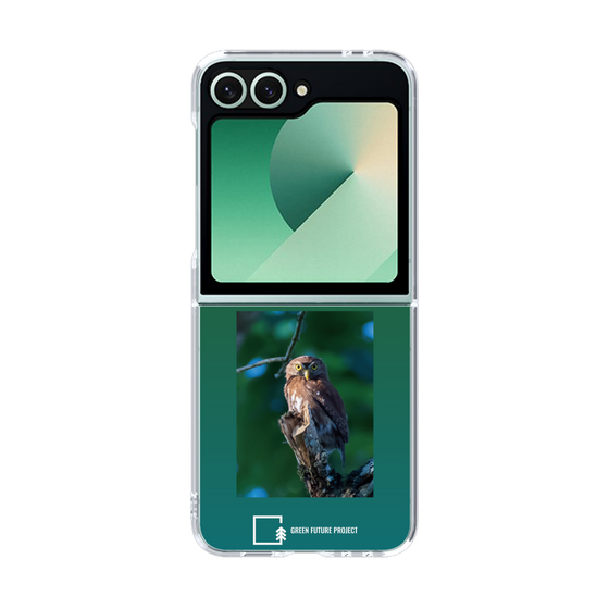 Clear Case［ Green Future Project - Ferruginous Pygmy Owl ］