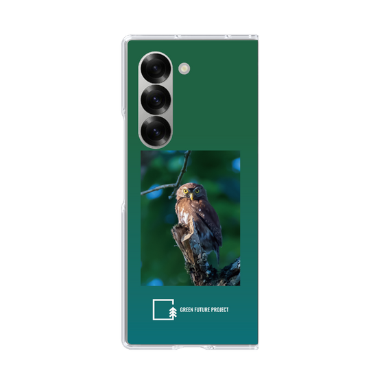 Clear Case［ Green Future Project - Ferruginous Pygmy Owl ］