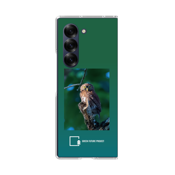 Clear Case［ Green Future Project - Ferruginous Pygmy Owl ］