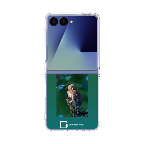 Clear Case［ Green Future Project - Ferruginous Pygmy Owl ］