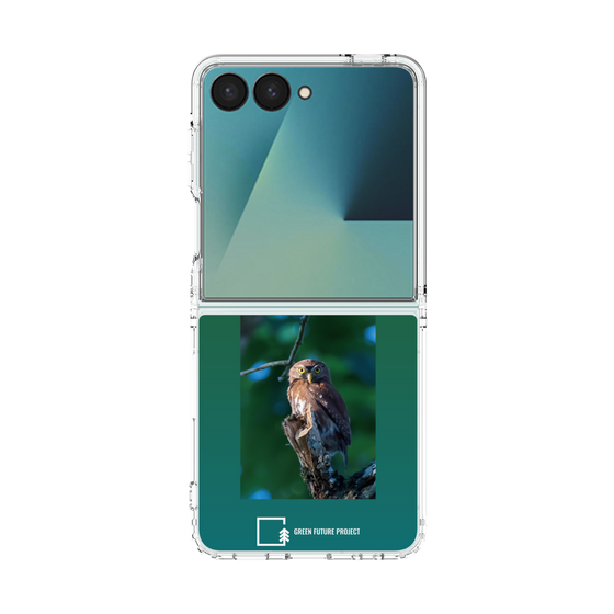 Clear Case［ Green Future Project - Ferruginous Pygmy Owl ］