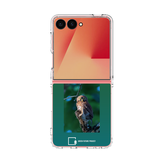 Clear Case［ Green Future Project - Ferruginous Pygmy Owl ］