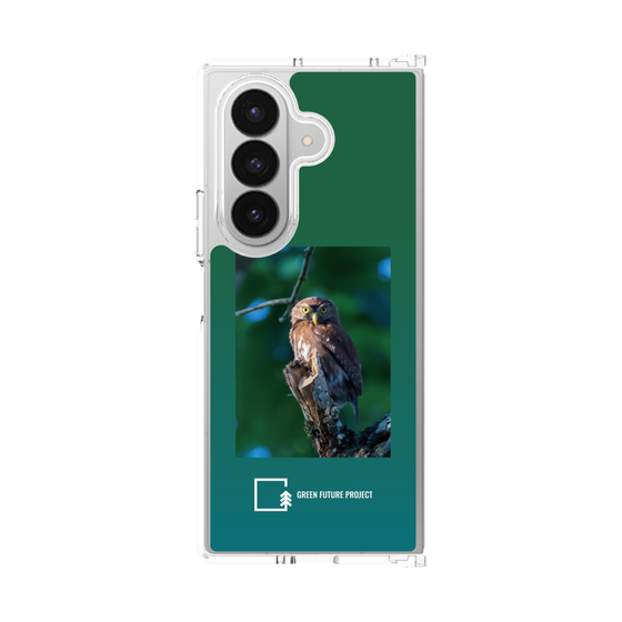Clear Case［ Green Future Project - Ferruginous Pygmy Owl ］