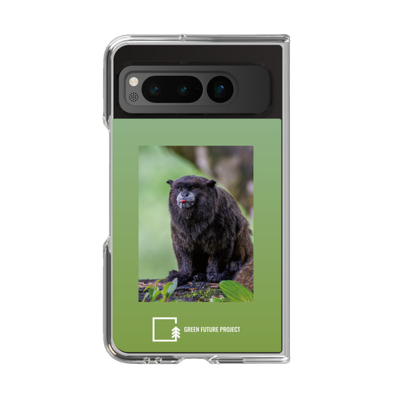 Clear Case［ Green Future Project - Black-mantled Tamarin ］