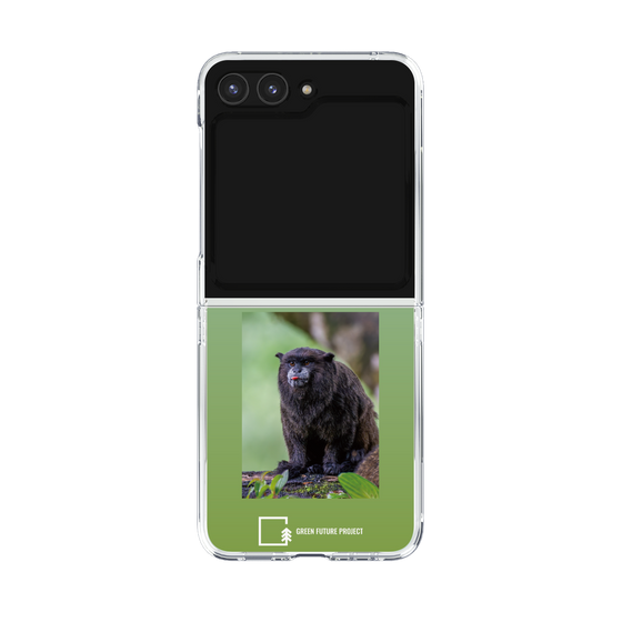 Clear Case［ Green Future Project - Black-mantled Tamarin ］
