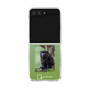 Clear Case［ Green Future Project - Black-mantled Tamarin ］
