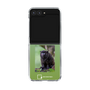 Clear Case［ Green Future Project - Black-mantled Tamarin ］
