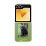 Clear Case［ Green Future Project - Black-mantled Tamarin ］