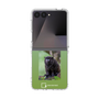 Clear Case［ Green Future Project - Black-mantled Tamarin ］