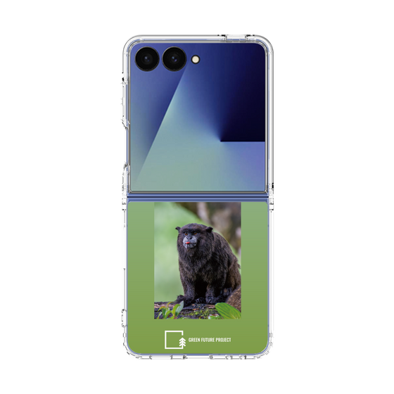 Clear Case［ Green Future Project - Black-mantled Tamarin ］