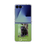 Clear Case［ Green Future Project - Black-mantled Tamarin ］