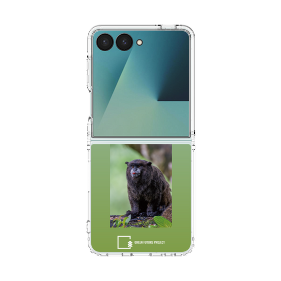 Clear Case［ Green Future Project - Black-mantled Tamarin ］