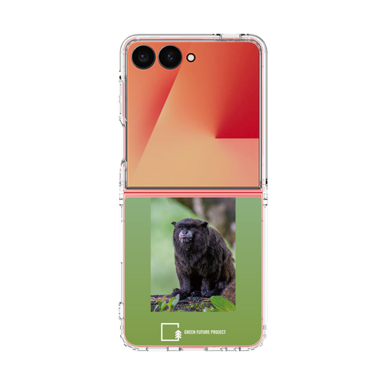 Clear Case［ Green Future Project - Black-mantled Tamarin ］