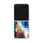 Clear Case［ Shotaro Sanada - Between the Landscapes.010 ］