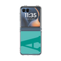 Clear Case［ Original - initial color - A light green ］