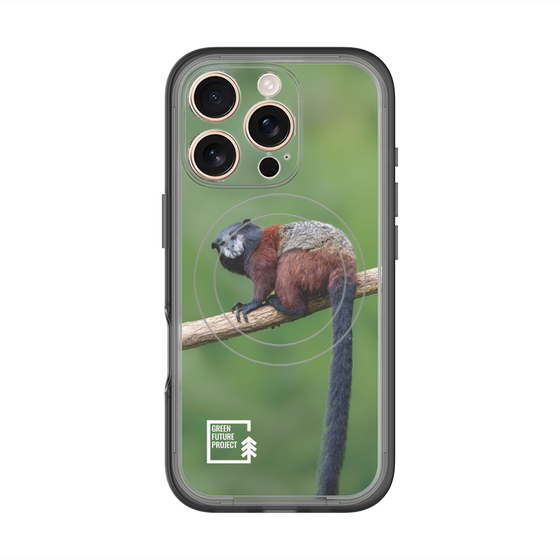 Slim Protection Premium Case with MagSafe［ Green Future Project - Saddle-backTamarin ］