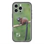 Slim Protection Premium Case with MagSafe［ Green Future Project - Saddle-backTamarin ］