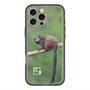 Slim Protection Premium Case with MagSafe［ Green Future Project - Saddle-backTamarin ］