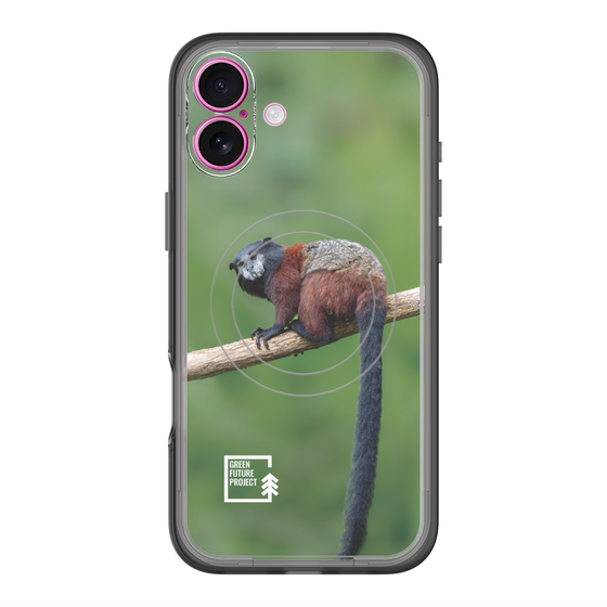 Slim Protection Premium Case with MagSafe［ Green Future Project - Saddle-backTamarin ］