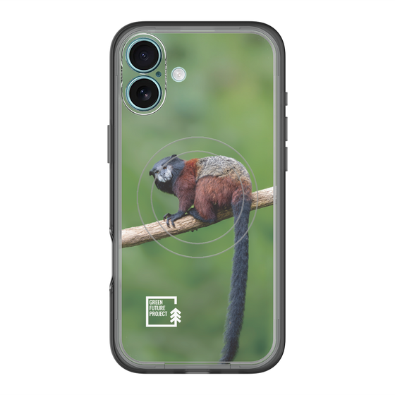 Slim Protection Premium Case with MagSafe［ Green Future Project - Saddle-backTamarin ］