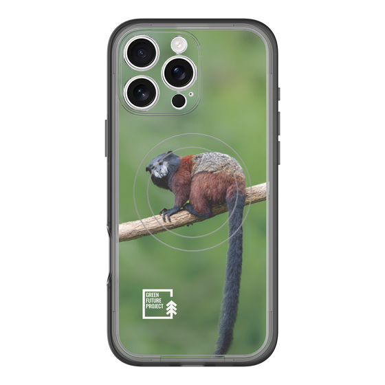 Slim Protection Premium Case with MagSafe［ Green Future Project - Saddle-backTamarin ］