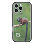 Slim Protection Premium Case with MagSafe［ Green Future Project - Saddle-backTamarin ］