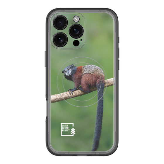 Slim Protection Premium Case with MagSafe［ Green Future Project - Saddle-backTamarin ］