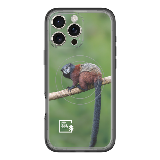 Slim Protection Premium Case with MagSafe［ Green Future Project - Saddle-backTamarin ］