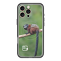 Slim Protection Premium Case with MagSafe［ Green Future Project - Saddle-backTamarin ］