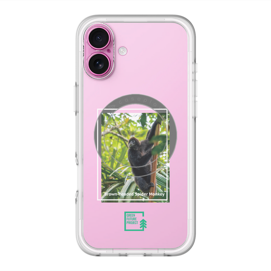 Slim Protection Premium Case with MagSafe［ Green Future Project - Brown-headed Spider Monkey ］