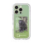 Slim Protection Premium Case with MagSafe［ Green Future Project - Black-mantled Tamarin ］