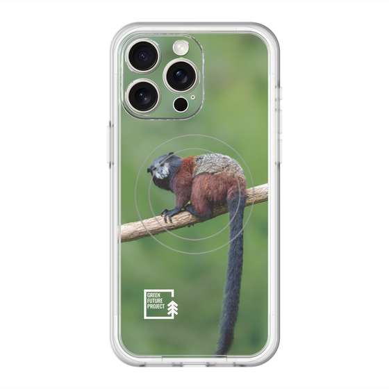 Slim Protection Premium Case with MagSafe［ Green Future Project - Saddle-backTamarin ］