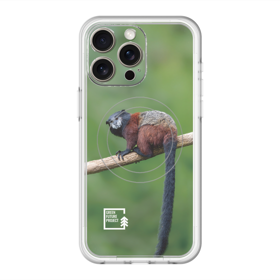 Slim Protection Premium Case with MagSafe［ Green Future Project - Saddle-backTamarin ］
