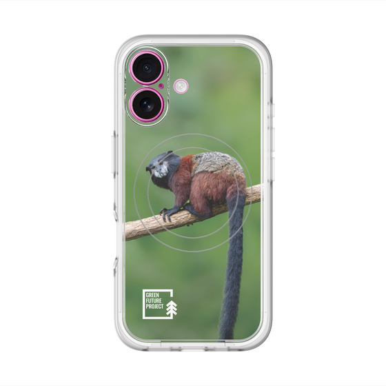 Slim Protection Premium Case with MagSafe［ Green Future Project - Saddle-backTamarin ］