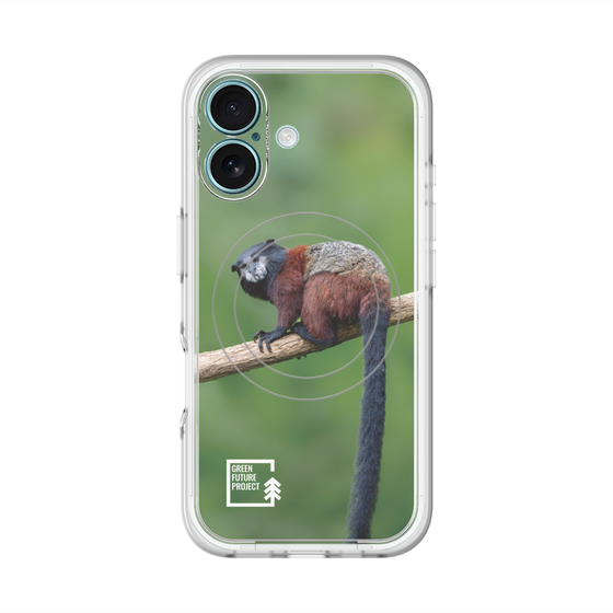 Slim Protection Premium Case with MagSafe［ Green Future Project - Saddle-backTamarin ］