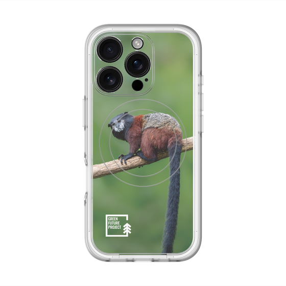 Slim Protection Premium Case with MagSafe［ Green Future Project - Saddle-backTamarin ］