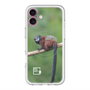 Slim Protection Premium Case with MagSafe［ Green Future Project - Saddle-backTamarin ］