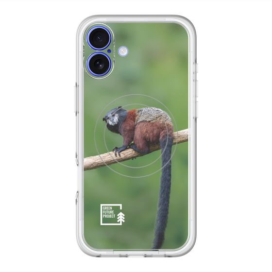Slim Protection Premium Case with MagSafe［ Green Future Project - Saddle-backTamarin ］