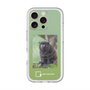 Slim Protection Premium Case with MagSafe［ Green Future Project - Black-mantled Tamarin ］