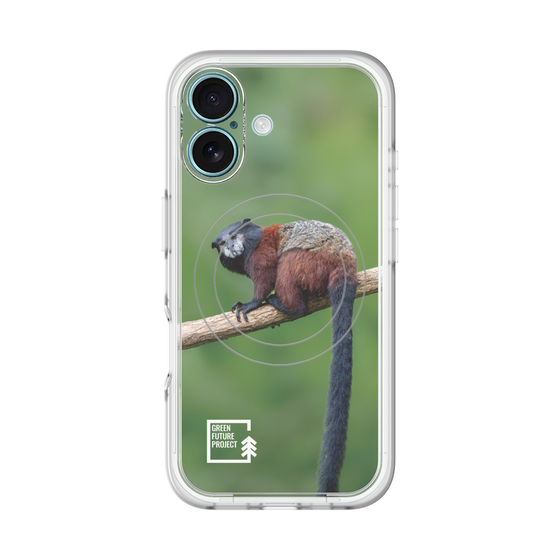 Slim Protection Premium Case with MagSafe［ Green Future Project - Saddle-backTamarin ］