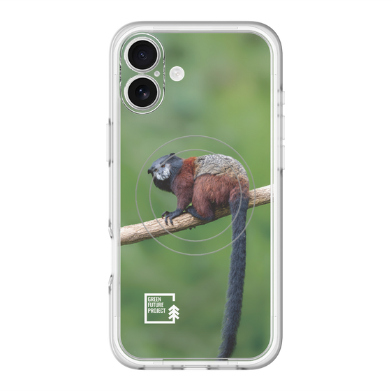 Slim Protection Premium Case with MagSafe［ Green Future Project - Saddle-backTamarin ］