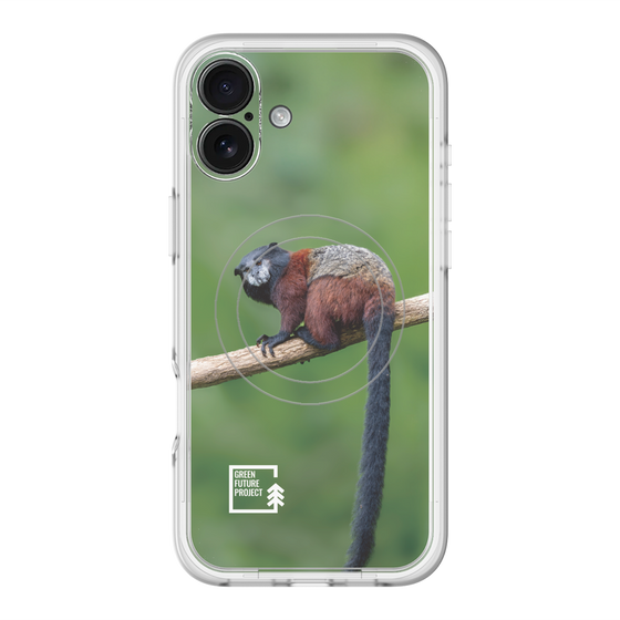 Slim Protection Premium Case with MagSafe［ Green Future Project - Saddle-backTamarin ］