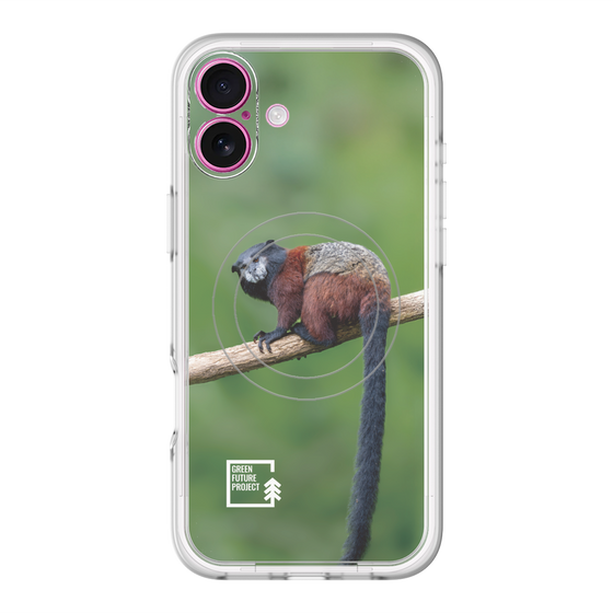 Slim Protection Premium Case with MagSafe［ Green Future Project - Saddle-backTamarin ］