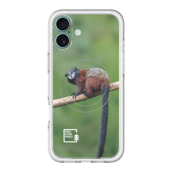 Slim Protection Premium Case with MagSafe［ Green Future Project - Saddle-backTamarin ］