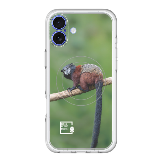Slim Protection Premium Case with MagSafe［ Green Future Project - Saddle-backTamarin ］