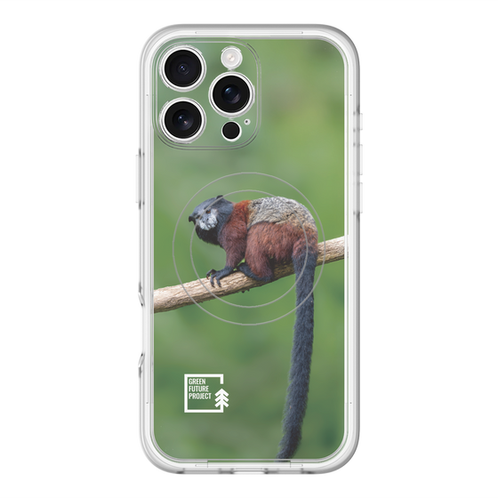 Slim Protection Premium Case with MagSafe［ Green Future Project - Saddle-backTamarin ］