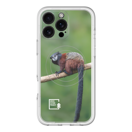 Slim Protection Premium Case with MagSafe［ Green Future Project - Saddle-backTamarin ］