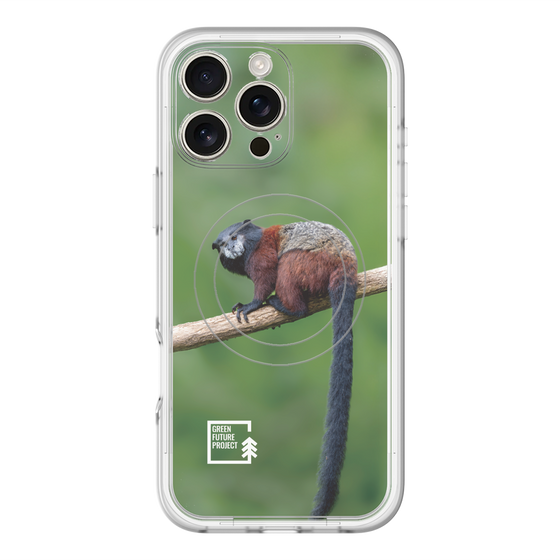 Slim Protection Premium Case with MagSafe［ Green Future Project - Saddle-backTamarin ］